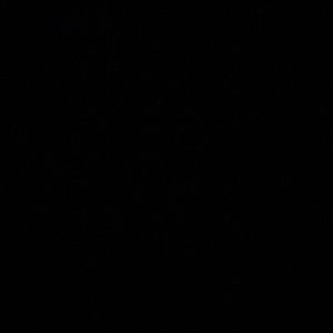 Meet your Posher, Lisset